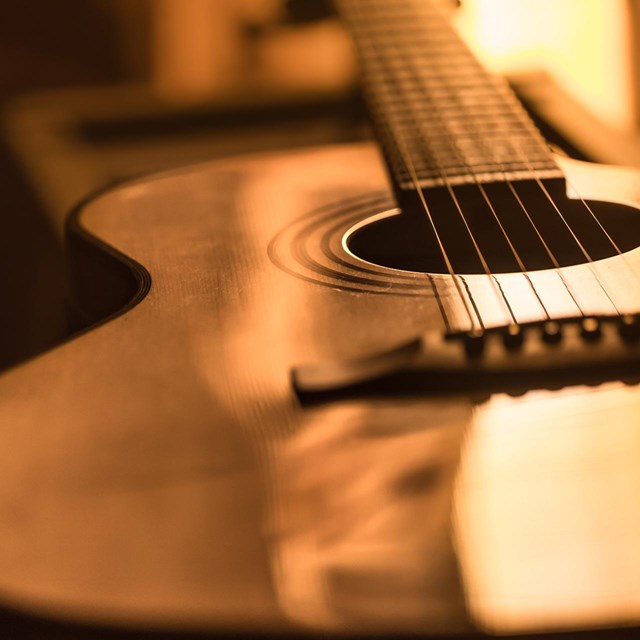 Encuentra tu guitarra ideal