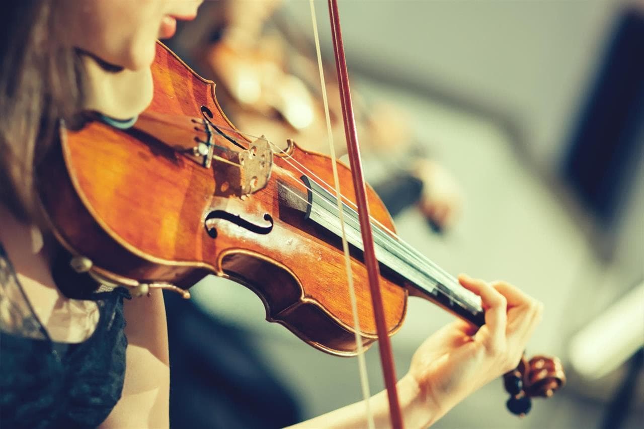 ¡Compra tu violín, viola o cello a través de nuestra tienda online!