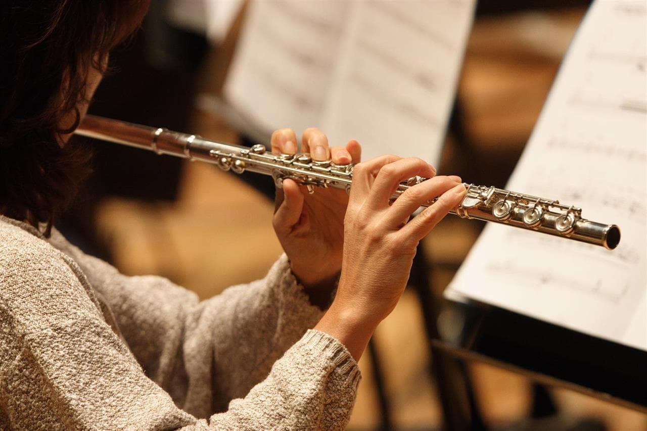  Encuentra una amplia variedad de instrumentos de viento en la tienda de música de Clef Music