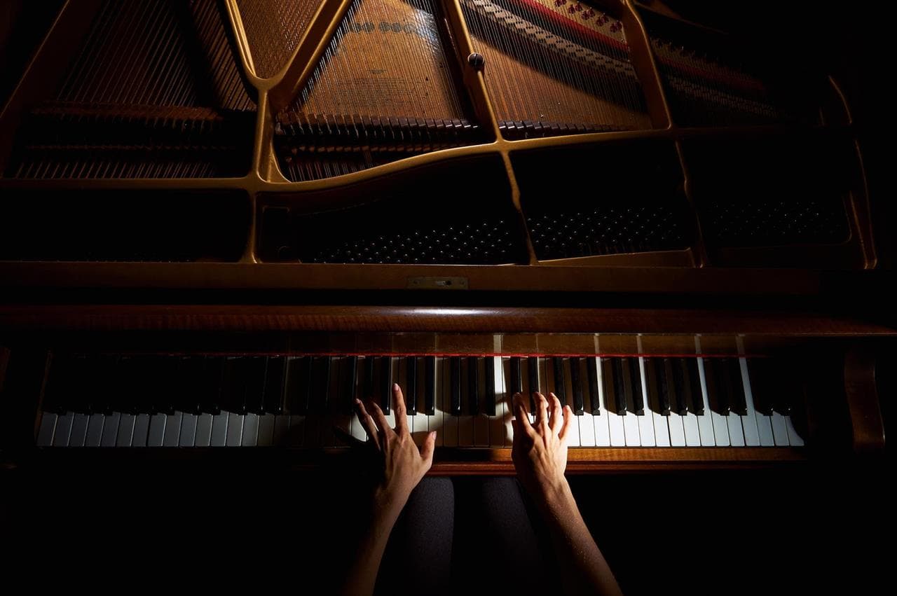    Amplia variedad de teclados y pianos